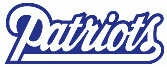 New England Patriots 1993-1999 Wordmark Logo iron on transfers for T-shirts
